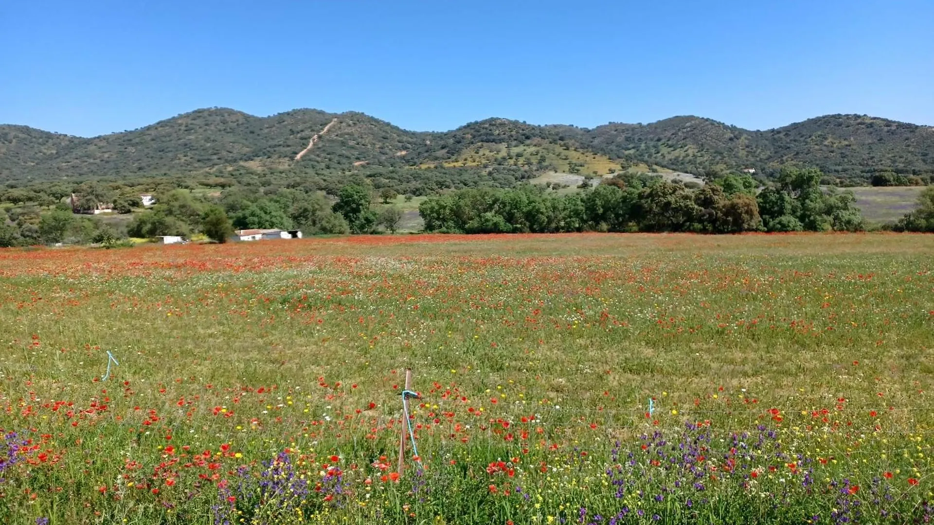 Casa Bibiana Villa Posadilla Holiday home